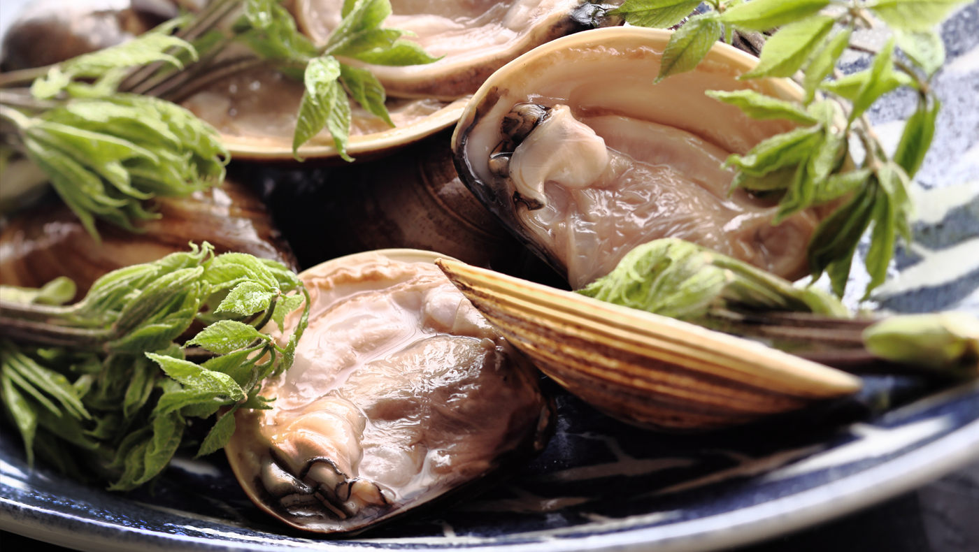 Clams