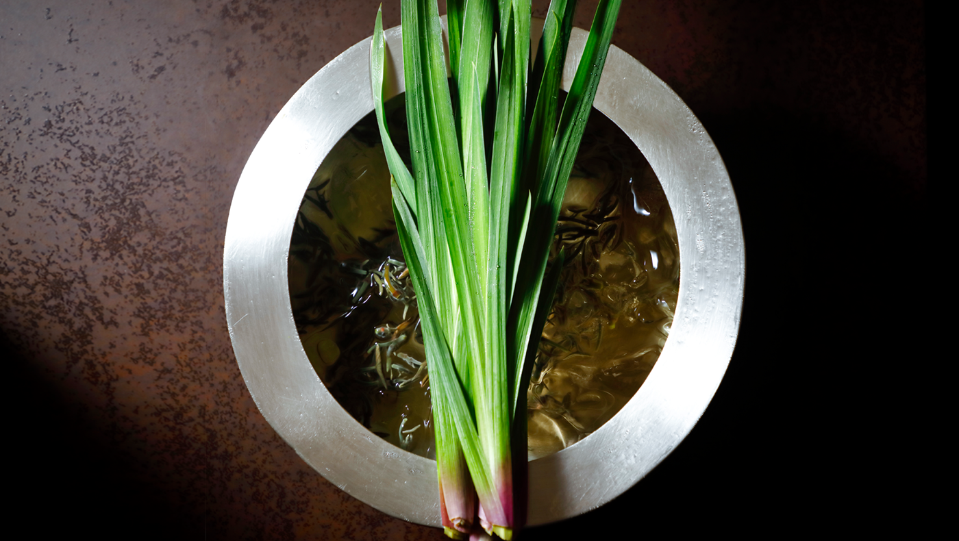 Water Shield (Junsai) and Cockles