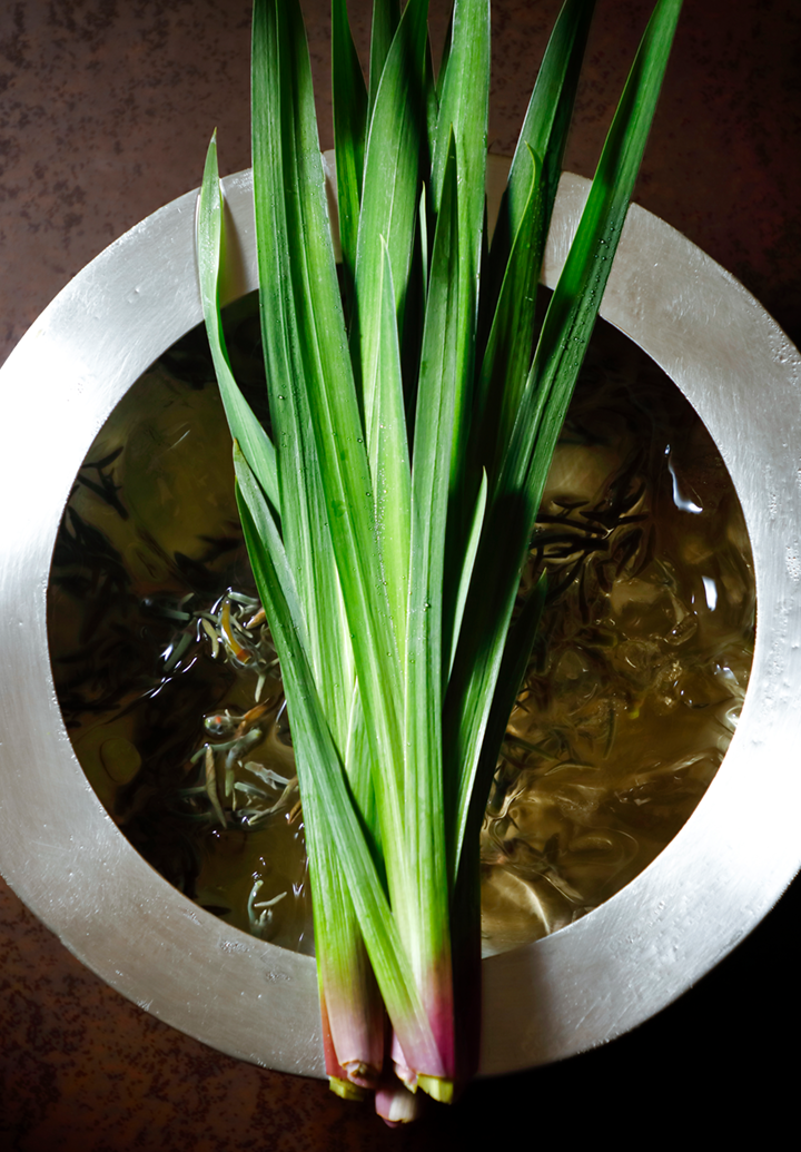 Water Shield (Junsai) and Cockles